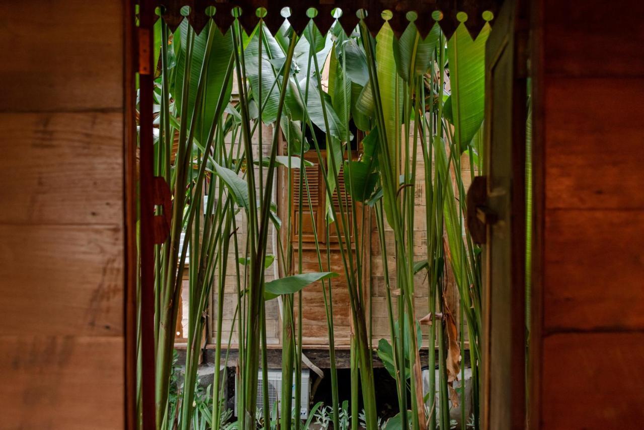 Moson Villa Legian 외부 사진